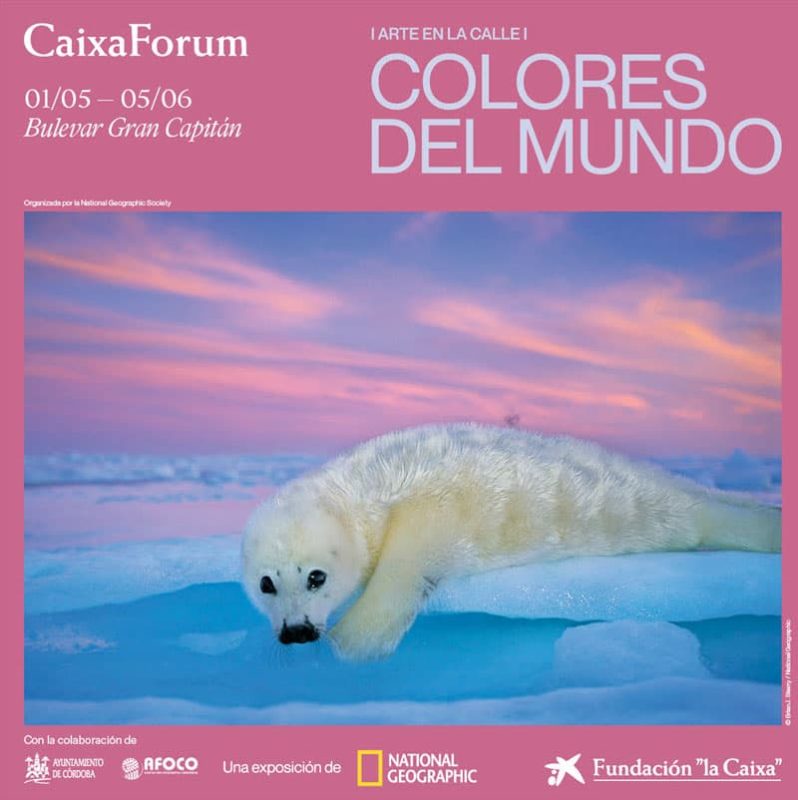 COLORES DEL MUNDO. Bulevar Gran Capitan. Cordoba. Hasta el 5 Junio 2025
