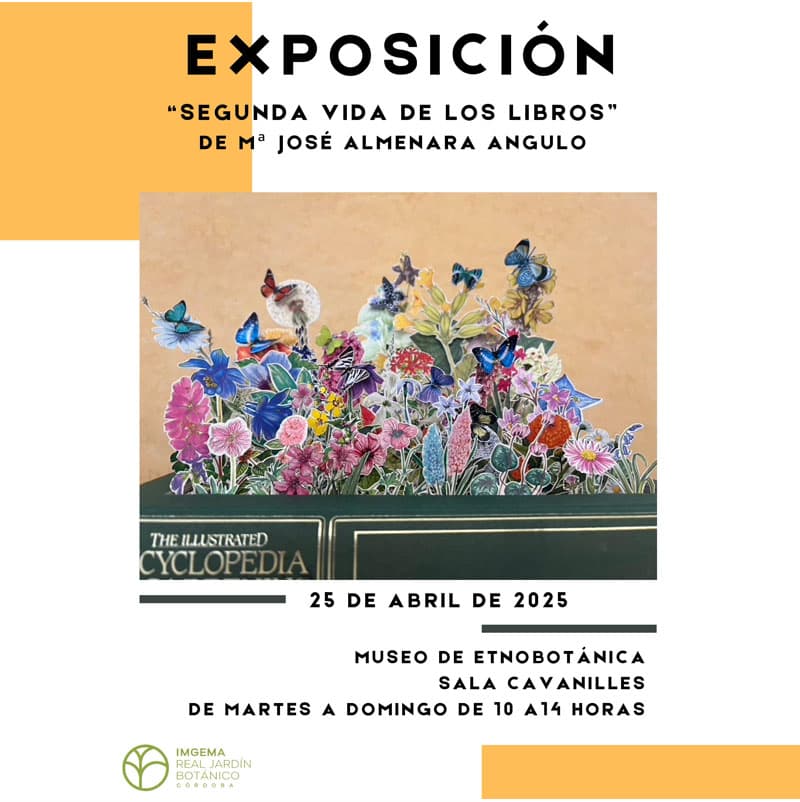 Exposicion SEGUNDA VIDA DE LOS LIBROS. Museo Etnobotanica. Cordoba. Hasta el 31 de Mayo 2025