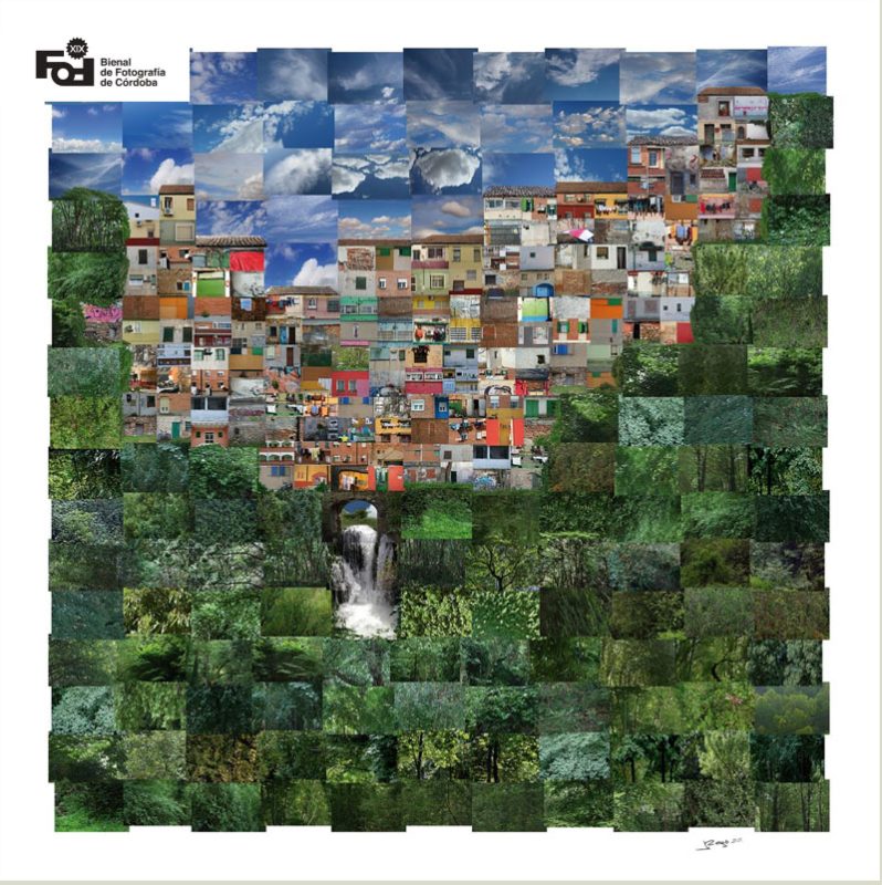 JAVIER REGO. Espacio Cajasol. Córdoba. Hasta el 25 Mayo 2025