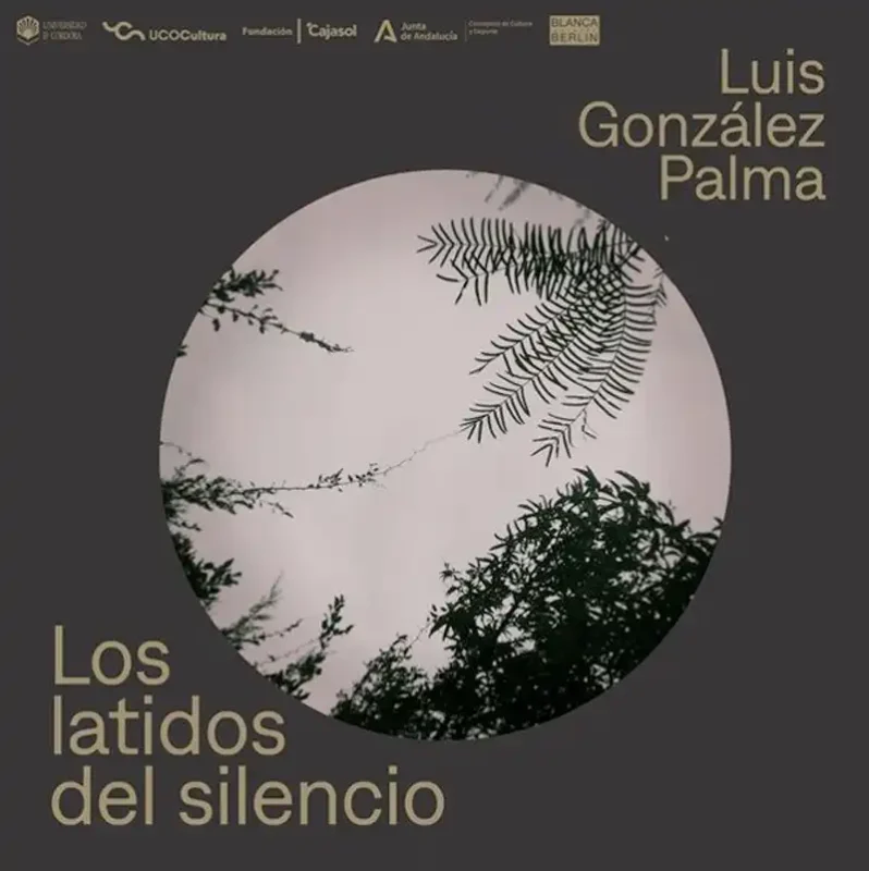 LOS LATIDOS DEL SILENCIO. Teatro Comico Principal. Cordoba. Hasta el 30 de Noviembre 2025