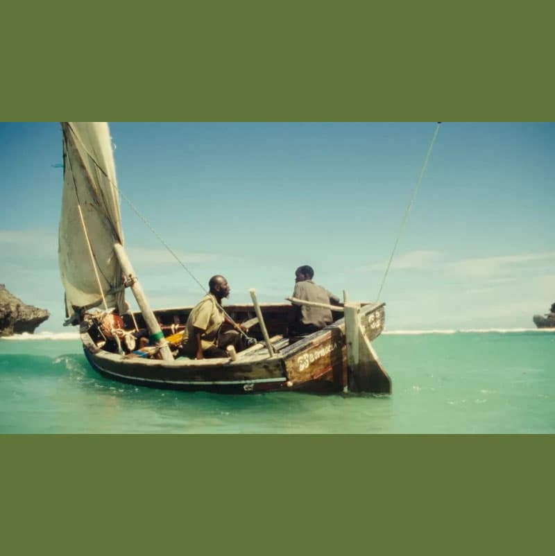 FCAT. Festival de Cine Africano. Filmoteca de Andalucía. Córdoba. 3 al 6 Junio 2025