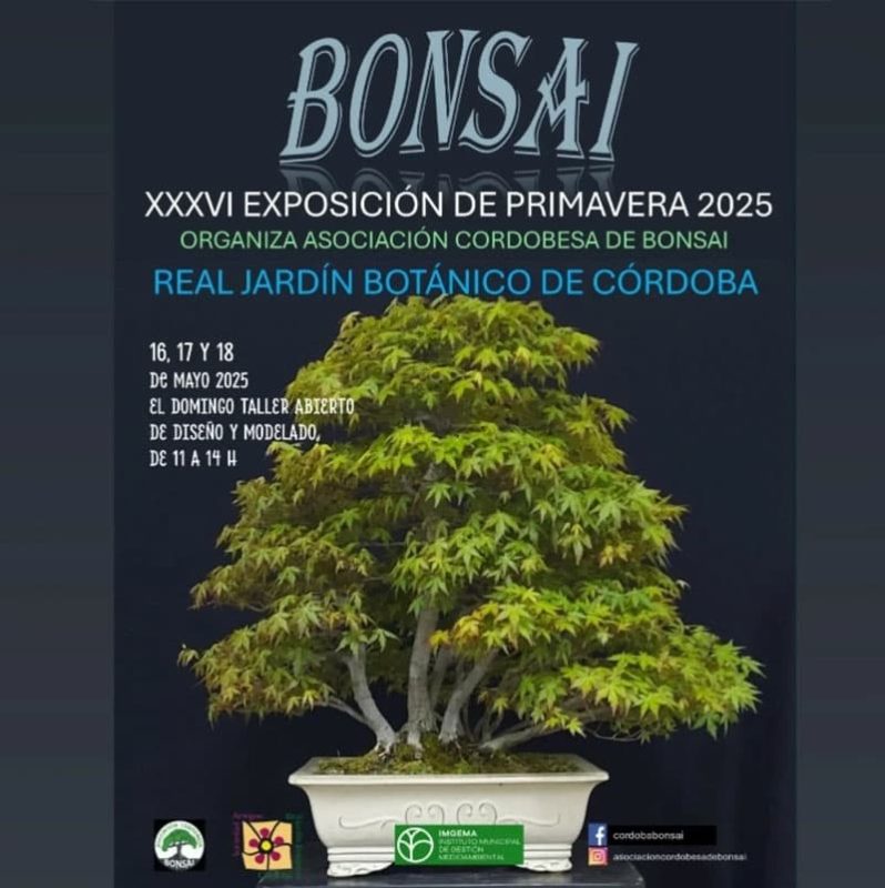 EXPOSICION BONSAI DE PRIMAVERA. Real Jardin Botanico de Cordoba. 16 17 18 Mayo 2025