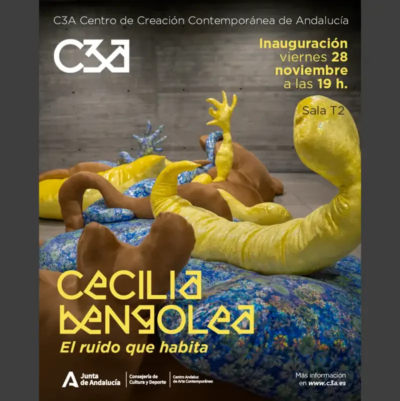 'ROMPER EL SILENDIO'. Biblioteca Central 'Antonio Gala'. Córdoba. Hasta el 23 de Enero de 2026 3 Cecilia Bengolea EL RUIDO QUE HABITA. C3A Andalucia. Cordoba. Nov 2025 Mayo 2026