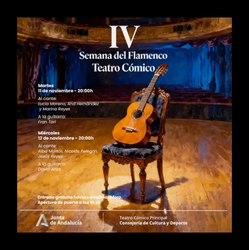 20 MUESTRA DE CINE SOCIAL 'LA IMAGEN DEL SUR'. Córdoba. 7 al 28 Noviembre 2025 7 IV SEMANA DEL FLAMENCO. Teatro Comico Principal. Cordoba. 11 12 Noviembre 2025