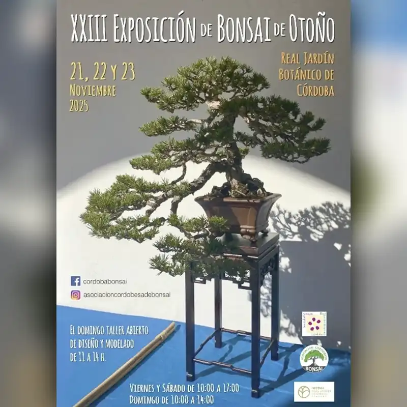 XXIII EXPOSICION DE BONSAI DE OTONO. Real Jardin Botanico de Cordoba. 21 22 23 Noviembre 2025