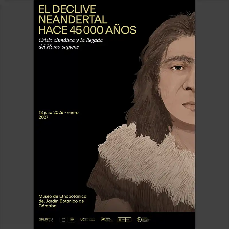 Exposicion EL DECLIVE NEANDERTAL HACE 45000 ANOS. Museo de Etnobotanica. Cordoba. Hasta Enero 2027