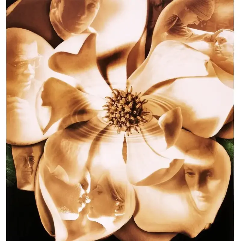MAGNOLIA. Dir. Paul Thomas Anderson. EEUU 1999