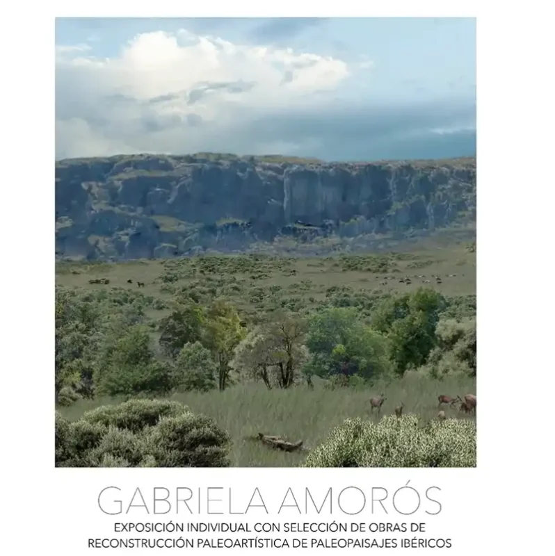 GABRIELA AMOROS. Museo Etnobotanica. Cordoba. De Septiembre a Diciembre 2026