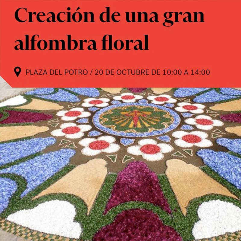 ALFOMBRA FLORAL. Plaza del Potro. Domingo 20 Octubre 2024