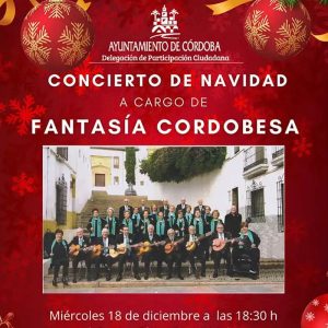 CONCIERTO DE NAVIDAD. Centro Civico Municipal Norte. Miercoles 18 Diciembre 2024