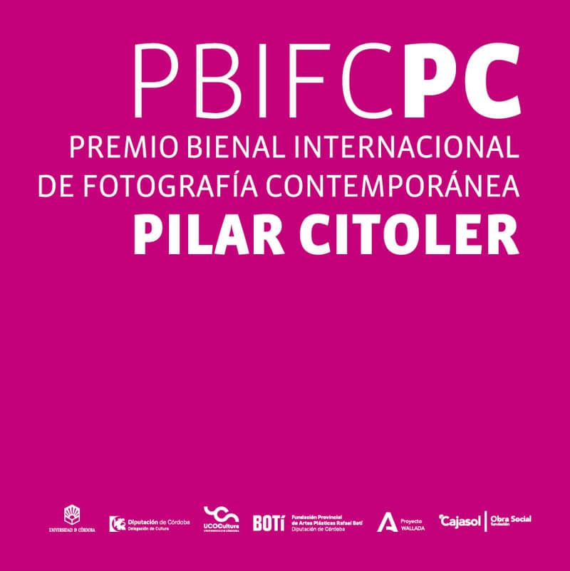 PREMIO PILAR CITOLER. Centro de Arte Rafael Botí. Hasta el 8 Septiembre 2024