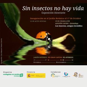 SIN INSECTOS NO HAY VIDA. Real Jardin Botanico de Cordoba. Hasta el 27 Octubre 2024